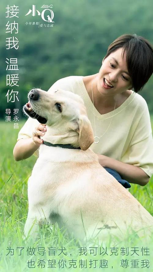 日本东北文化学园大学文凭毕业证怎么购买